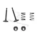 VALVE KIT FITS/REPL. Honda GX160 GX200
